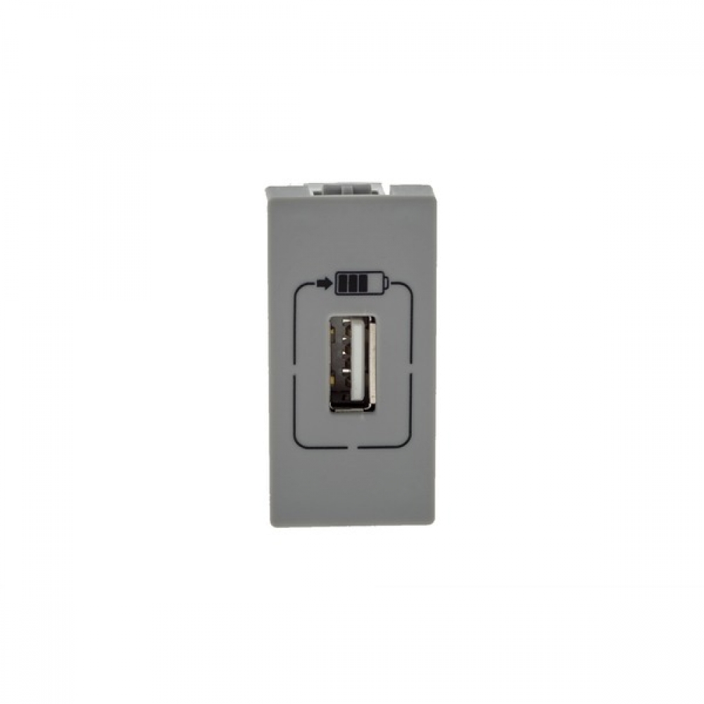 Modulo Carregador USB Cinza  Pial Plus+#SIMONLEX#