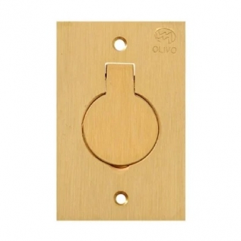 Placa 1 Módulo Para Piso 4x2 Latão - Olivo#SIMONLEX#