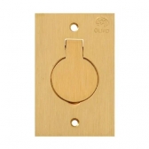 Placa 1 Módulo Para Piso 4x2 Latão - Olivo#SIMONLEX#