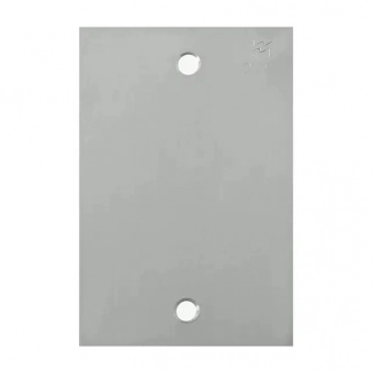 Placa 1 Módulo Para Piso 4x2  Inox - Olivo#SIMONLEX#